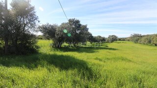 Land for sale in São Brás de Alportel, Portugal — €30,000