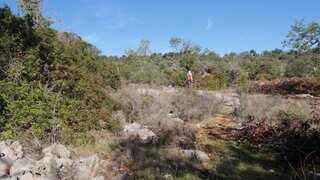 Land for sale in Tavira, Portugal — €20,000