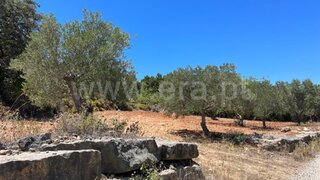 Terreno de 13 480 m² em Faro