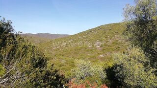 Land for sale in Loulé, Portugal — €100,000