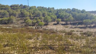 Land for sale in Alcoutim, Portugal — €18,000
