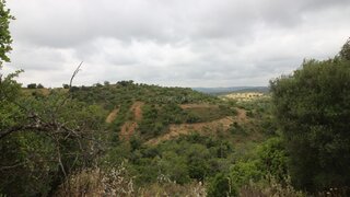 Land for sale in Tavira, Portugal — €110,000