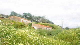 Terreno de 36 000 m² em Lagoa