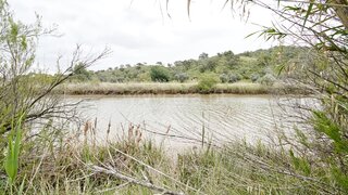 Land for sale in Castro Marim, Portugal — €23,500