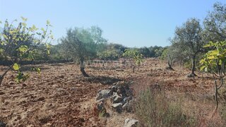 Land for sale in São Brás de Alportel, Portugal — €40,000