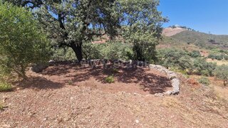 Land for sale in São Brás de Alportel, Portugal — €26,000
