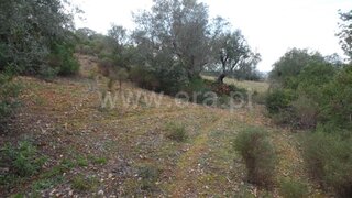 Land for sale in Faro, Portugal — €25,000