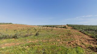 Terreno em Tavira