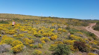 Land for sale in Vila do Bispo, Portugal — €40,000