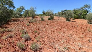 Land for sale in Loulé, Portugal — €30,000