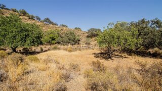 Land for sale in Castro Marim, Portugal — €28,000