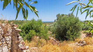 Land for sale in Tavira, Portugal — €298,000