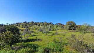 Land for sale in Alcoutim, Portugal — €25,000