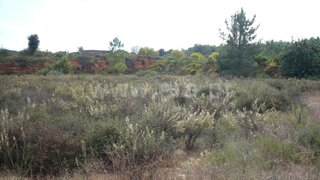 Terreno de 5043 m² em Loulé