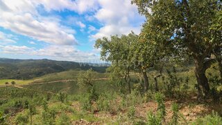 Land for sale in Tavira, Portugal — €60,000