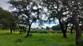 Land for sale in Loulé, Portugal — €400,000