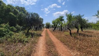Land for sale in Loulé, Portugal — €45,000