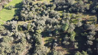 Land for sale in São Brás de Alportel, Portugal — €22,000