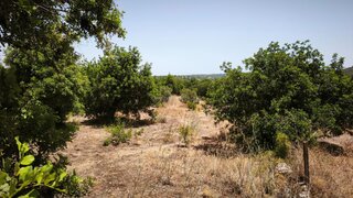 Land for sale in Tavira, Portugal — €67,500