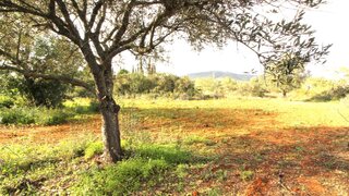 Land for sale in Olhão, Portugal — €67,500