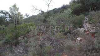 Land for sale in Faro, Portugal — €60,000