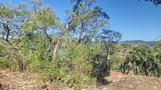 Terreno em Monchique