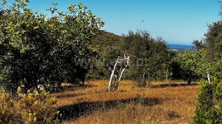 Land for sale in Faro, Portugal — €39,000