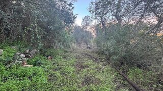 Land for sale in Loulé, Portugal — €28,000
