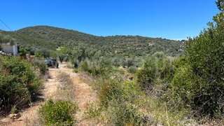 Terreno de 6800 m² em Faro