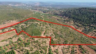 Land for sale in Silves, Portugal — €232,520