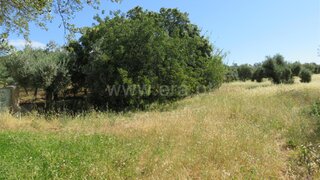 Land for sale in São Brás de Alportel, Portugal — €60,000