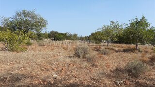 Land for sale in Albufeira, Portugal — €100,000