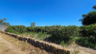 Terreno de 4240 m² em Faro