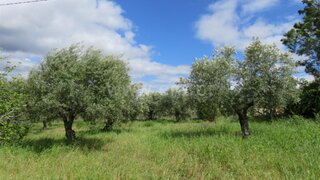 Land for sale in São Brás de Alportel, Portugal — €64,000