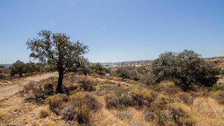 Land for sale in Castro Marim, Portugal — €65,000