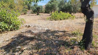 Land for sale in São Brás de Alportel, Portugal — €120,000