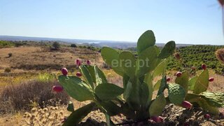 Land for sale in Castro Marim, Portugal — €80,000