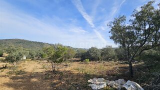 Land for sale in São Brás de Alportel, Portugal — €49,500