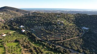 Terreno de 7880 m² em Faro