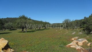 Terreno em São Brás de Alportel