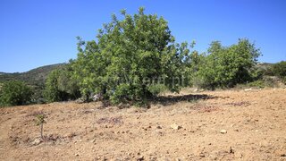 Land for sale in Faro, Portugal