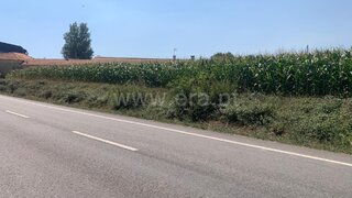 Land for sale in Estarreja, Portugal — €15,500