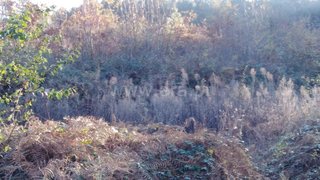 Land for sale in Vila Nova de Gaia, Portugal — €80,000
