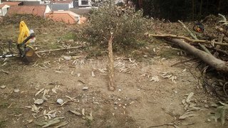 Land for sale in Gondomar, Portugal — €50,000