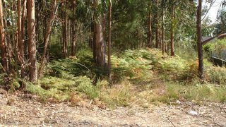 Land for sale in Oliveira de Azeméis, Portugal — €51,000