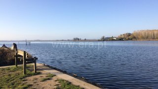 Land for sale in Estarreja, Portugal
