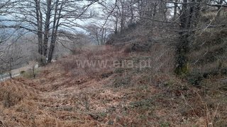 Land for sale in Baião, Portugal — €22,000