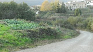 Land for sale in Oliveira de Azeméis, Portugal — €333,260