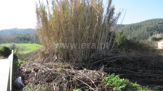 Land for sale in Albergaria-a-Velha, Portugal — €30,000