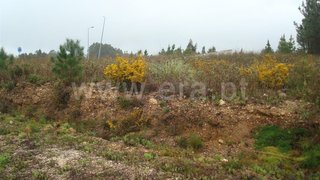 Land for sale in Mealhada, Portugal — €40,000